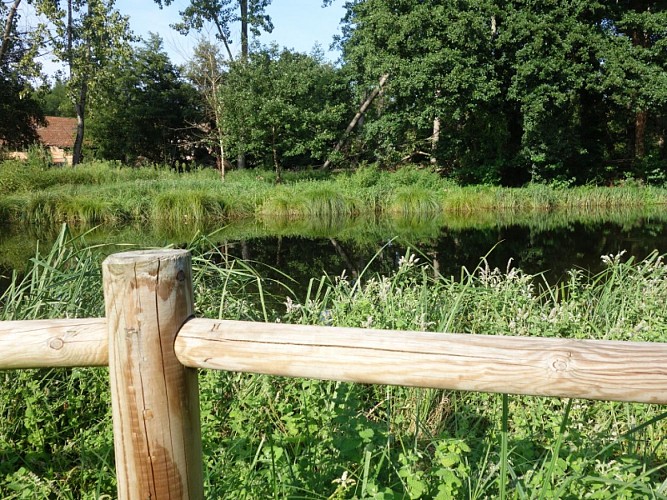 Bernos-Beaulac - aire de Caroy (2)