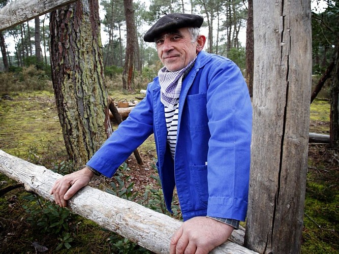 5-resiniers-bisca-foret