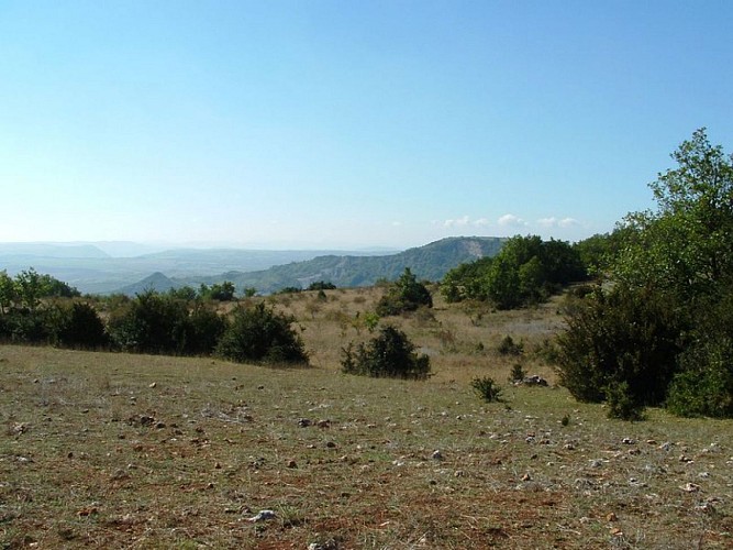 Causse du Larzac (La Rouquette)