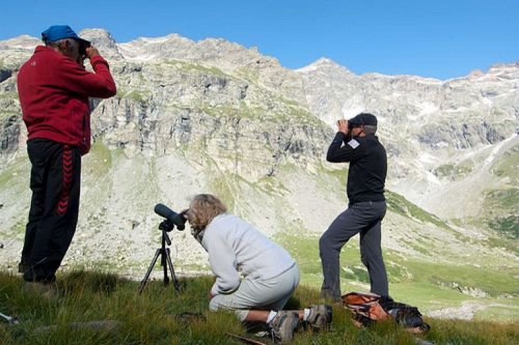 Jean-Philippe Telmon anime des sorties - observation des bouquetins - dans le vallon de la Selle