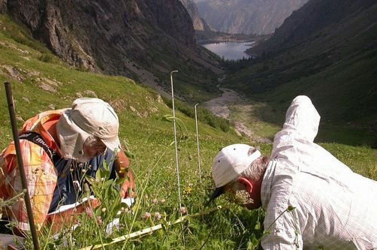 Réserve intégrale du Lauvitel, relevé des lignes de lecture de la végétation