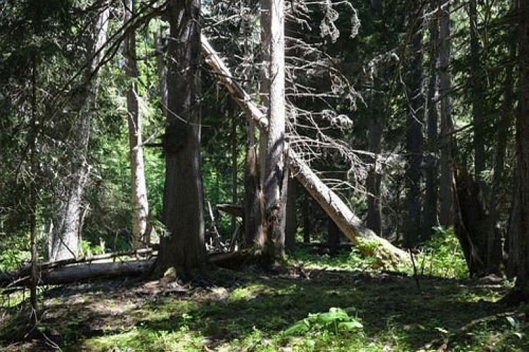 Réserve intégrale du Lauvitel