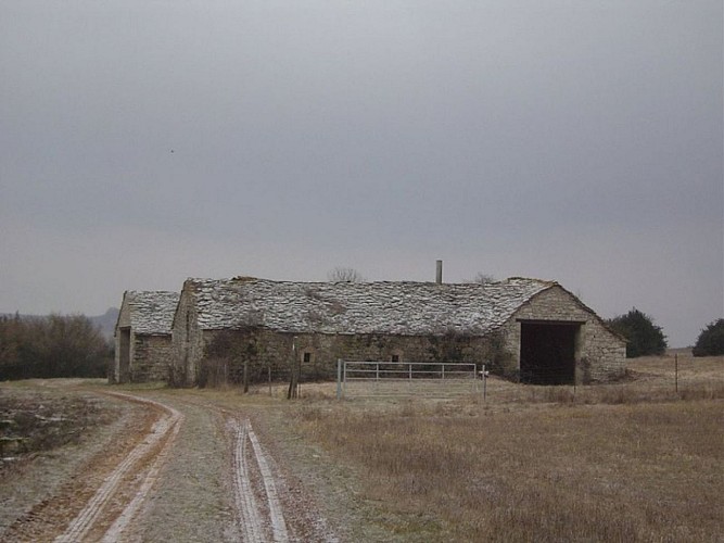 Jasse de Camp Biel - vue Est