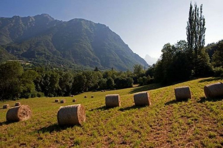 L'Olan vu depuis l'entrée de la vallée du Valgaudemar