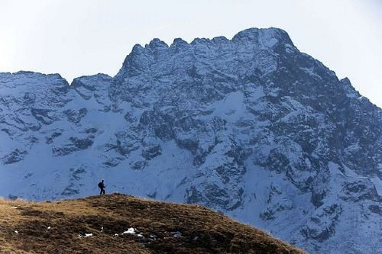 Le Sirac de l'alpage de Tirière