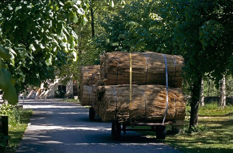 Maison en toit de chaume