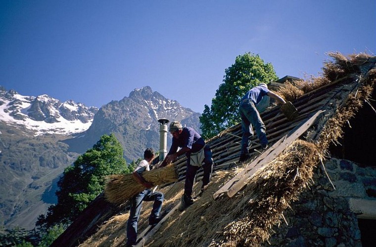 Maison en toit de chaume