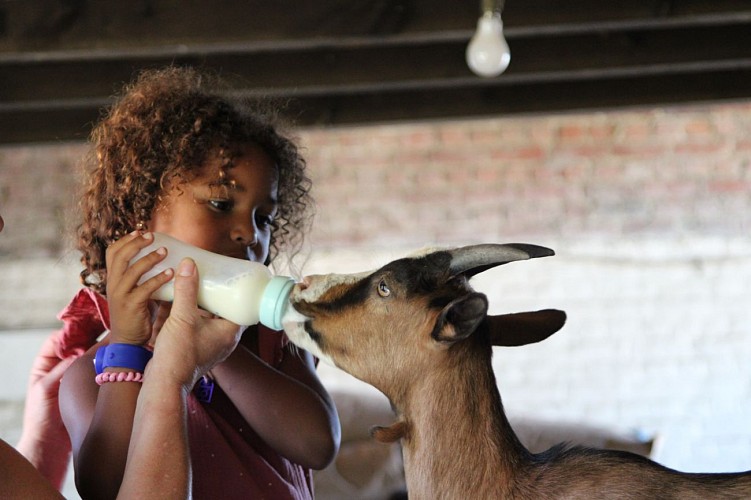 Chèvrerie de l'Oiseau Perdu