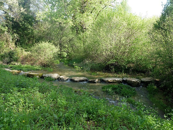 Le marais de Montaris