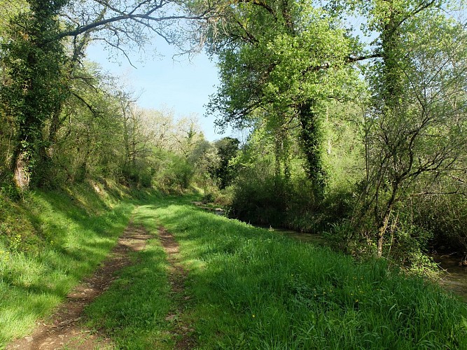 Le marais de Montaris