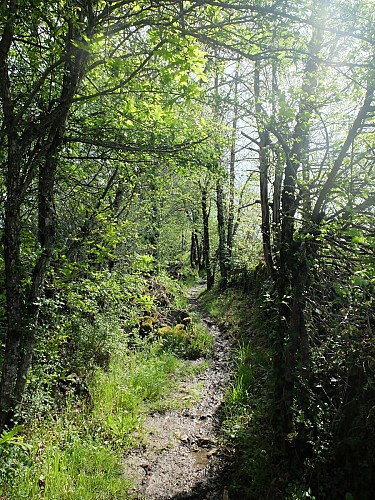 Le marais de Montaris