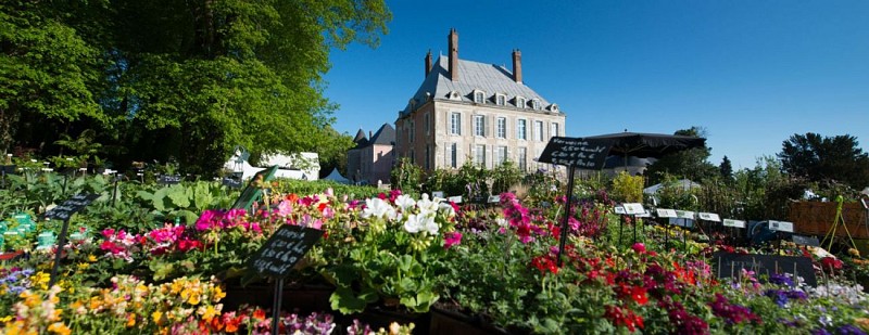 Le château de Meung sur Loire