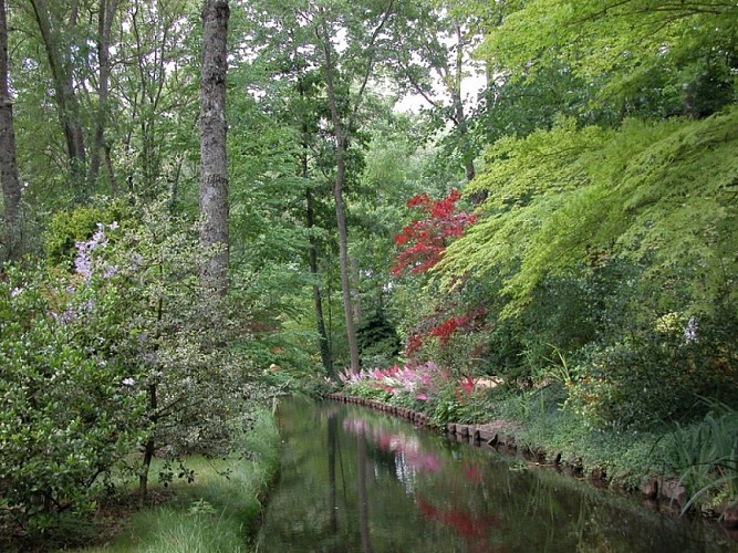Arboretum_des_pres_des_culands _03