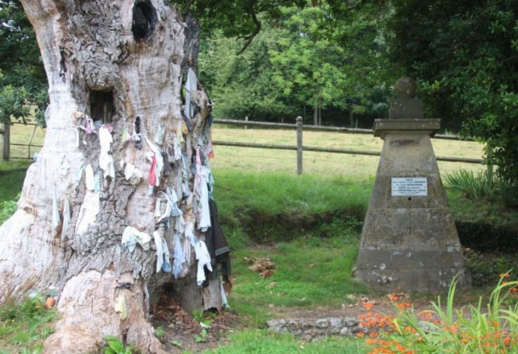 La fontaine St Méen