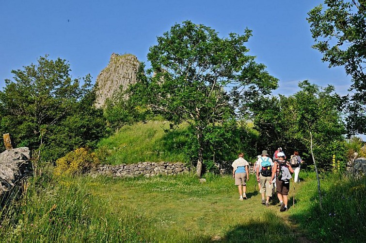 Neck de Belvezet