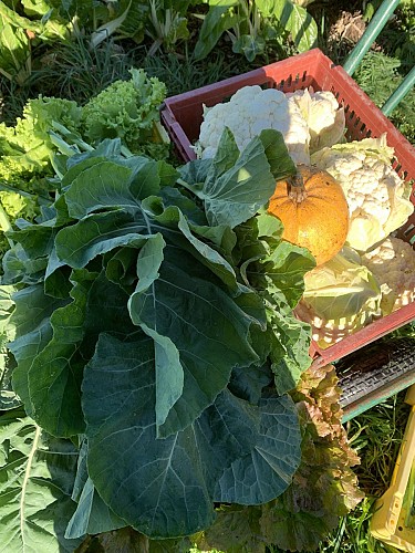 Les Terres Vivantes de l'Anjormière