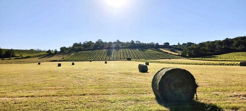 MAISON DU DOMAINE DES COTEAUX BLANCS (GITE)
