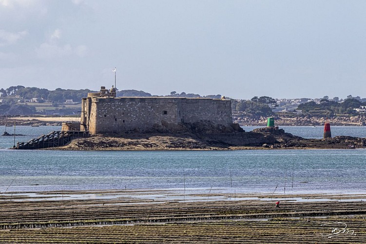 Le château du Taureau