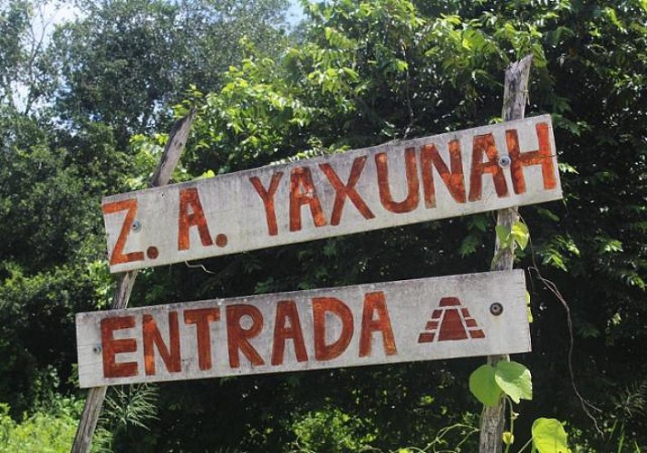 Excursion d'une journée vers les sites archéologiques de Yaxunah & Chichen Itza + rencontre avec une communauté Maya - Transferts inclus
