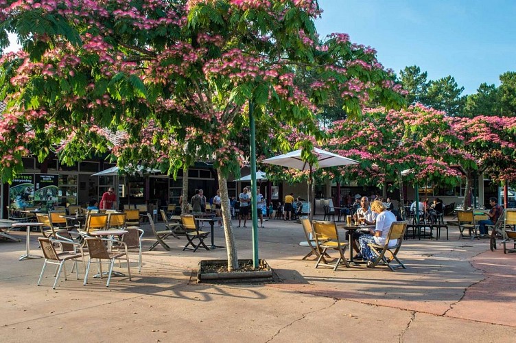 Touristra-Soustons-Plage-Landes-Atlantique-Sud--8-