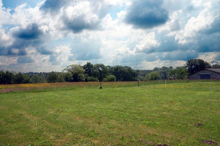 Aire de camping-car Horizon Doazit (5)