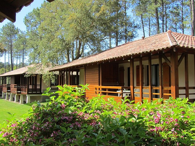 RESIDENCE-TOURISME-ARTS-ET-VIE-VACANCES-A-MESSANGES--9--2