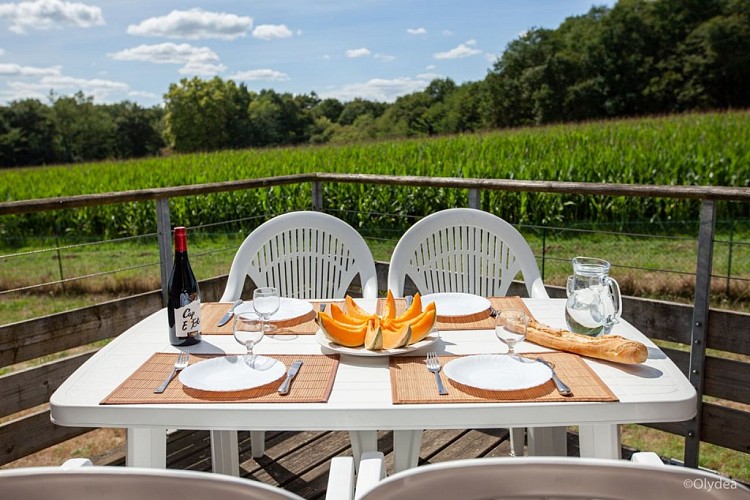 Rés Les Hameaux - terrasse vue champ