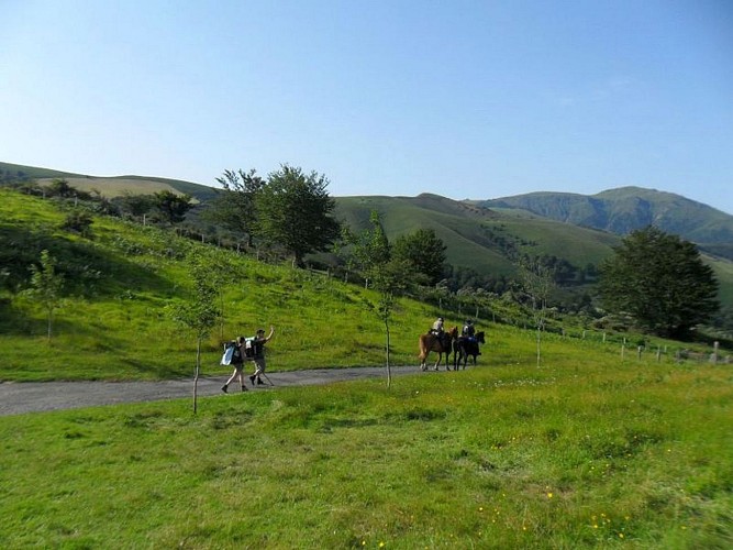 Kaskoleta-cavaliers et randonneurs-Estérençuby