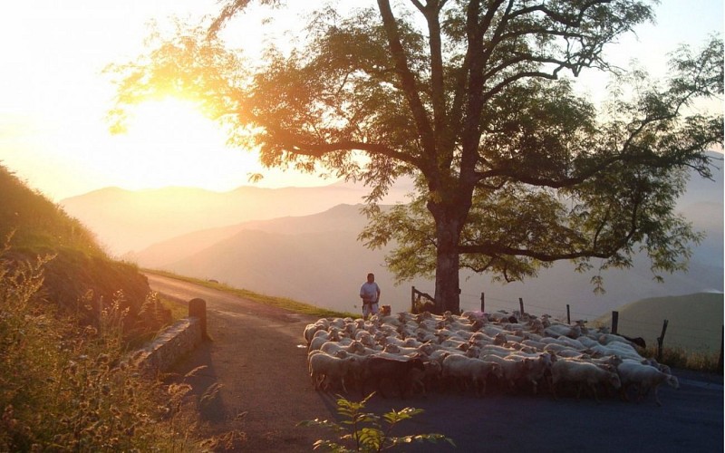 Manex-Refuge Orisson 1440x900