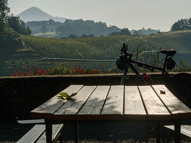 Oronozia Baigorri-Terrasse vue sur les vignes