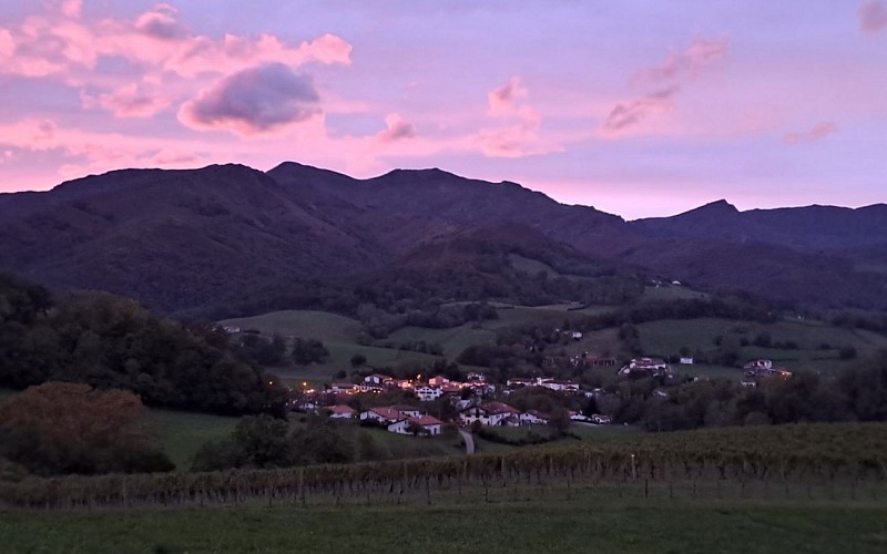 Oronozia-coucher de soleil