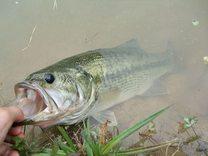 Les Eaux de Queyssac