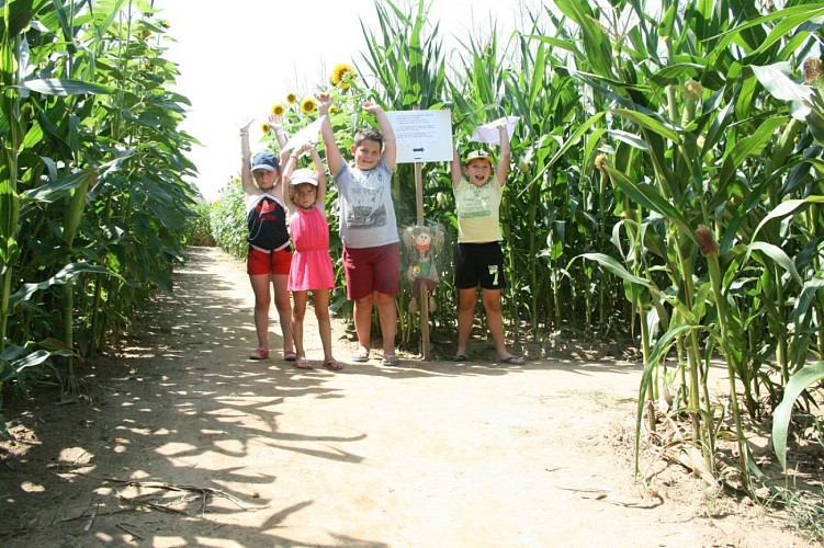 Labyrinthe de Maïs des Châteaux