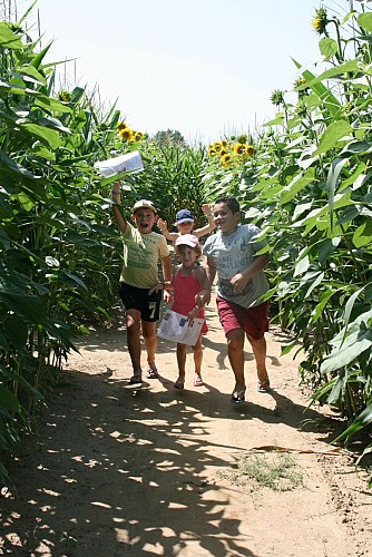 Labyrinthe de Maïs des Châteaux
