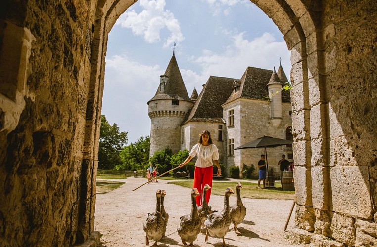 HL_LMAZALREY_SAUVEURS DE PIERRES BRIDOIRE ET TIREGAND-oie perigord porte chateau