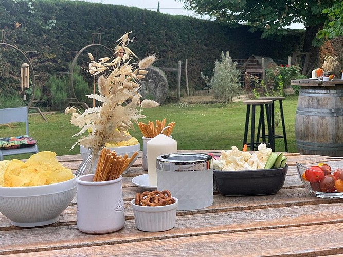 Salle-Le-Guinot-apéritif-jardin