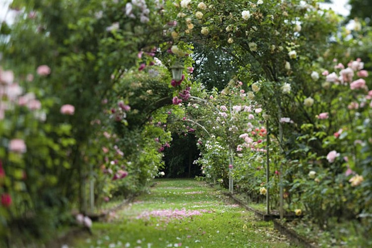 Hostellerie La Roseraie