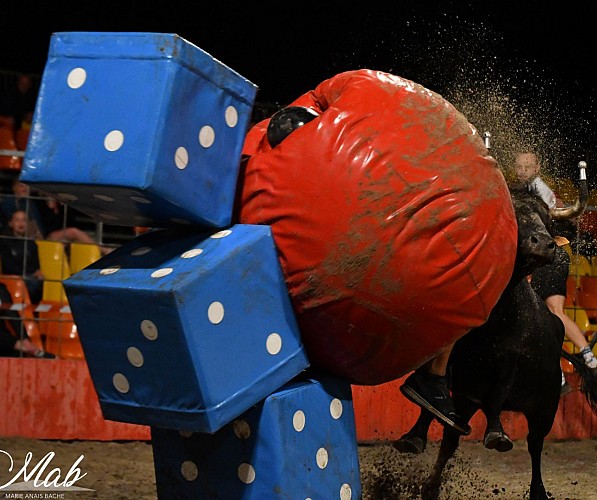 top-a-la-vachette-arenes-bisca