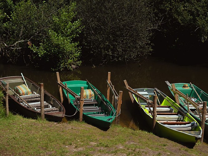 Vielle_2022-CLNT@benjaminfaure-32