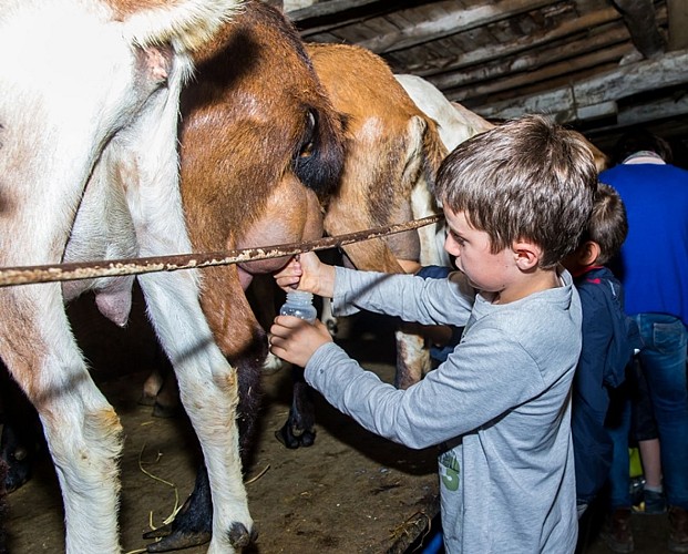 cclt_asc_chaudronmagique_traite