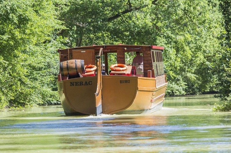 Croisières du Prince Henry 6