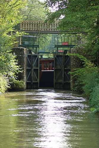 Croisières du Prince Henry 11