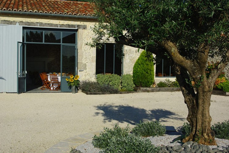 Domaine-de-Pecarrere-Buzet-3