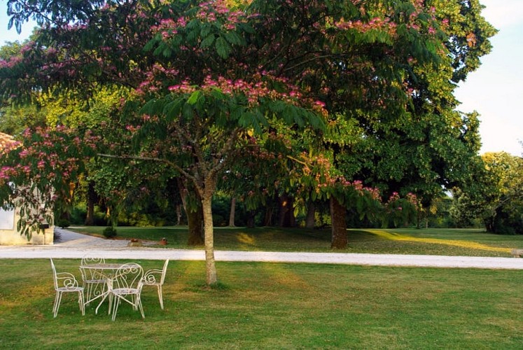 Domaine-de-Pecarrere-Buzet-4