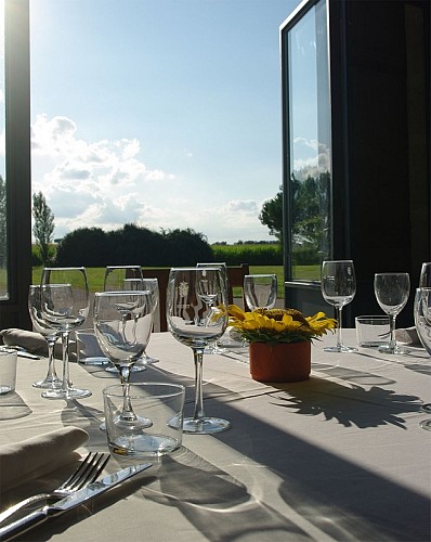 Domaine-de-Pecarrere-Buzet-5