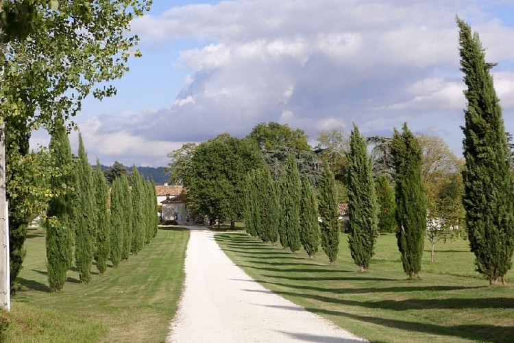 Domaine-de-Pecarrere-Buzet-9