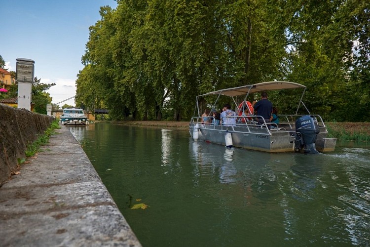 Bateaux de Garonne - La Massaise 5