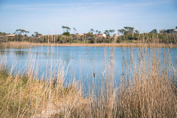 parc-izadia-anglet-05