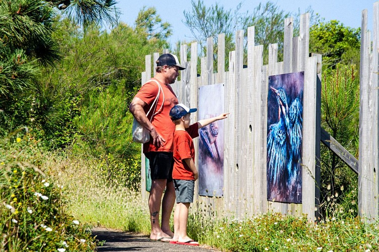 Parc-Izadia-Anglet_Dario-Tonini-08