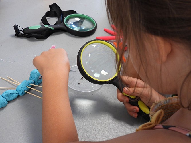 Animation-Fourmidables